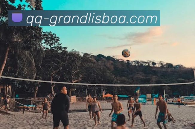 App Interface Preview